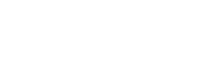Logo MGS Flux