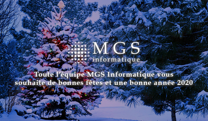 mgs informatique blois